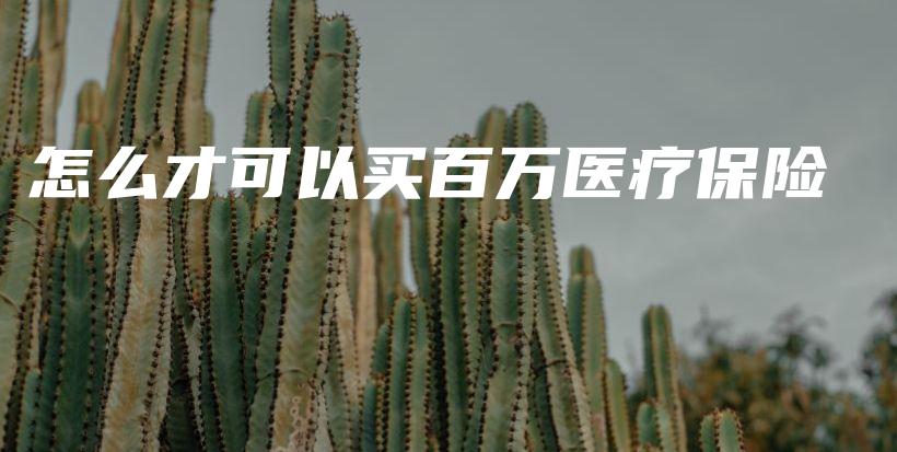 怎么才可以买百万医疗保险-保点通