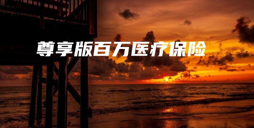 尊享版百万医疗保险-保点通