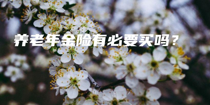 养老年金险有必要买吗？-保点通
