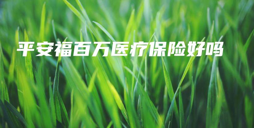 平安福百万医疗保险好吗-保点通