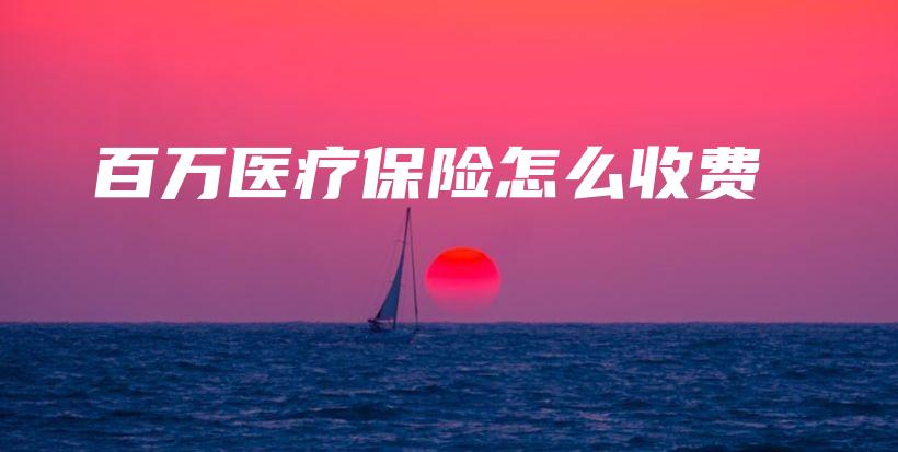 百万医疗保险怎么收费-保点通