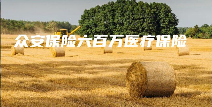 众安保险六百万医疗保险-保点通