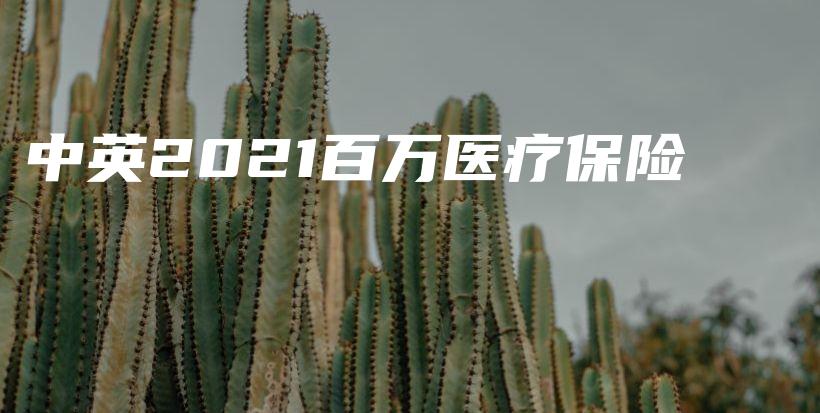 中英2021百万医疗保险-保点通