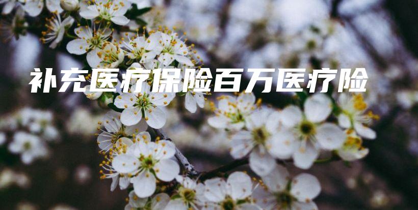 补充医疗保险百万医疗险-保点通