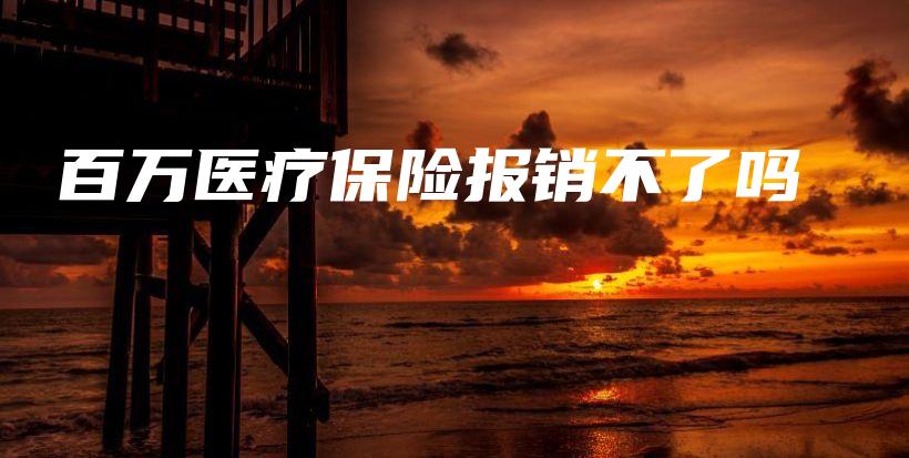 百万医疗保险报销不了吗-保点通