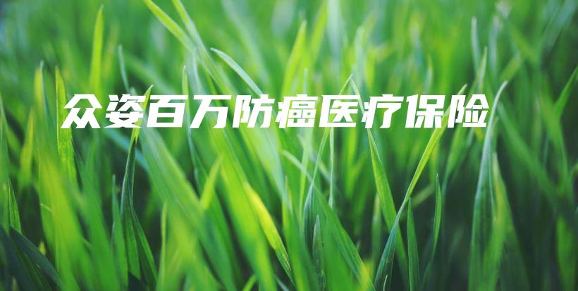 众姿百万防癌医疗保险-保点通