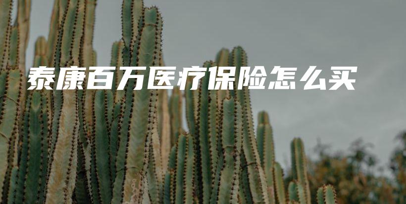 泰康百万医疗保险怎么买-保点通