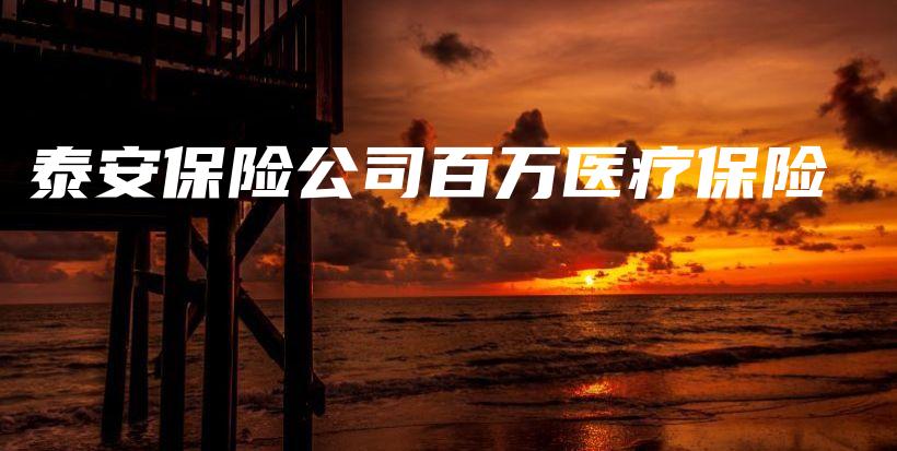 泰安保险公司百万医疗保险-保点通
