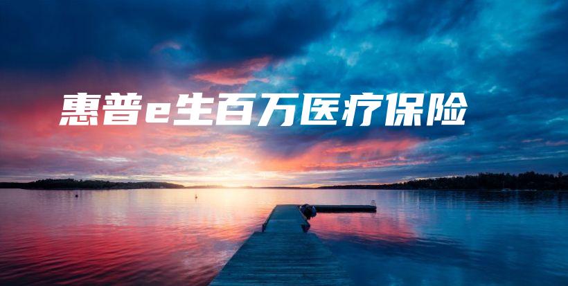 惠普e生百万医疗保险-保点通