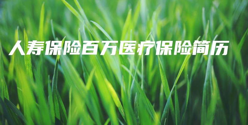 人寿保险百万医疗保险简历-保点通