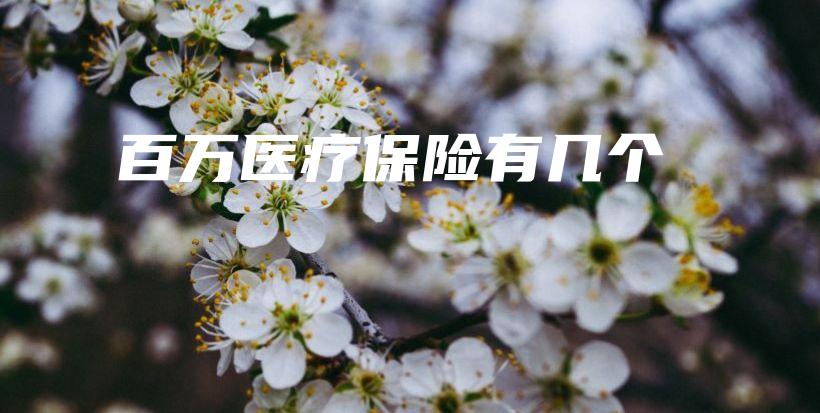 百万医疗保险有几个-保点通