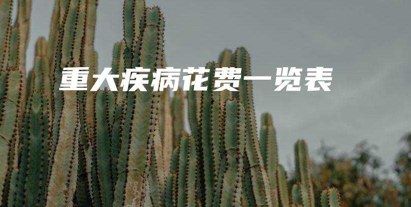 重大疾病花费一览表-保点通