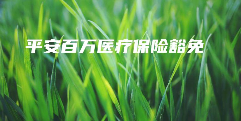 平安百万医疗保险豁免-保点通