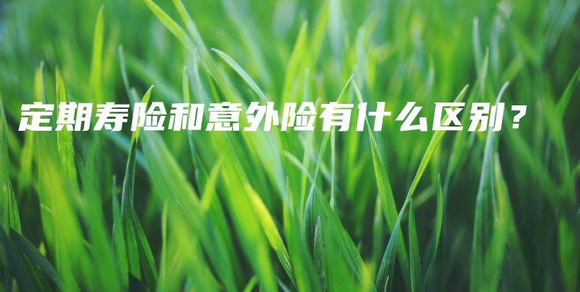 定期寿险和意外险有什么区别？-保点通