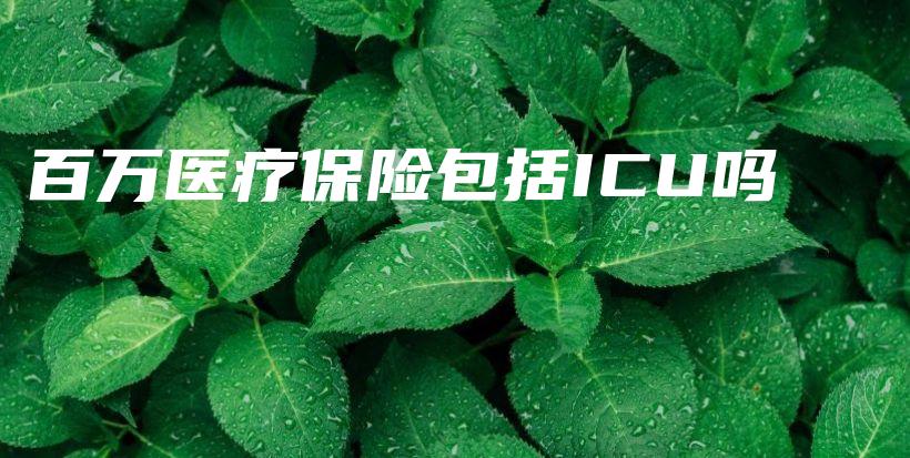 百万医疗保险包括ICU吗-保点通