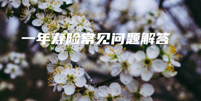 一年寿险常见问题解答-保点通