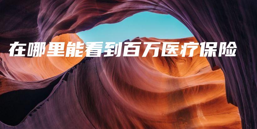 在哪里能看到百万医疗保险-保点通
