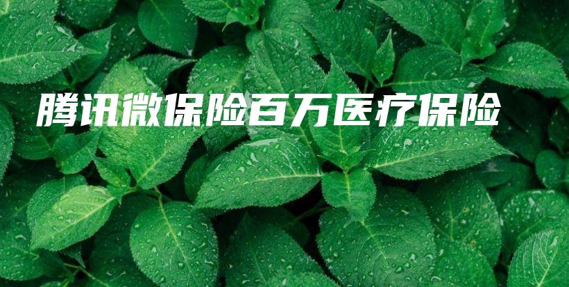 腾讯微保险百万医疗保险-保点通