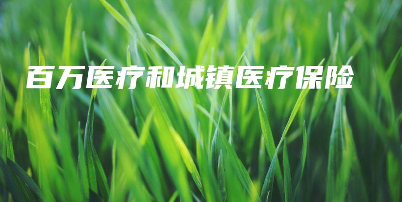 百万医疗和城镇医疗保险-保点通