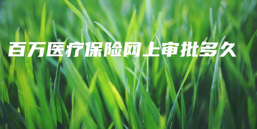 百万医疗保险网上审批多久-保点通