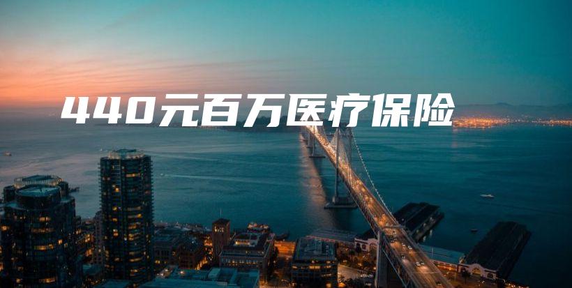 440元百万医疗保险-保点通