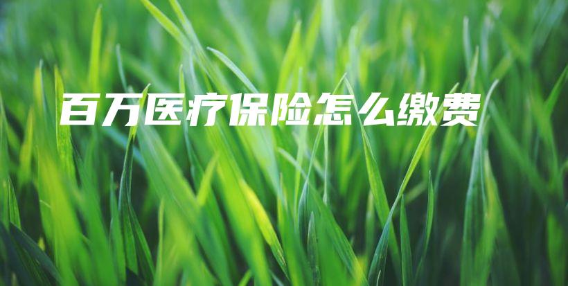 百万医疗保险怎么缴费-保点通