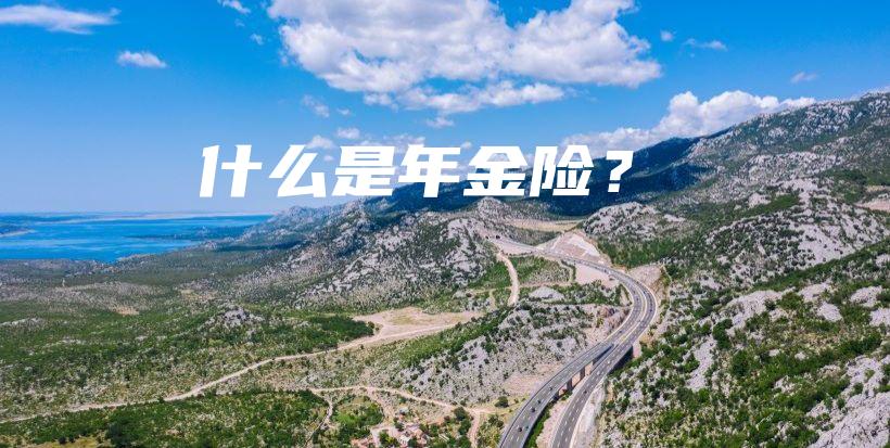 什么是年金险？-保点通