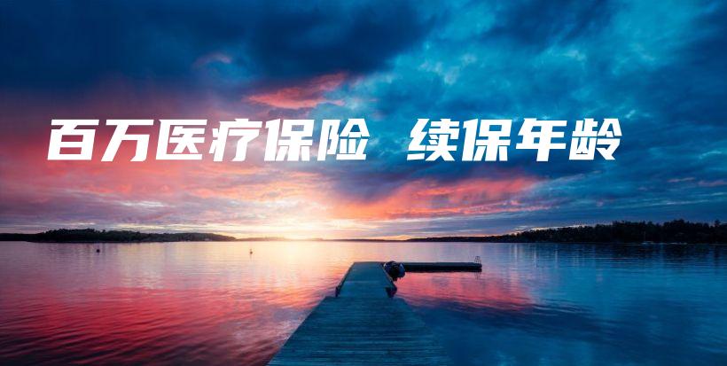 百万医疗保险 续保年龄-保点通