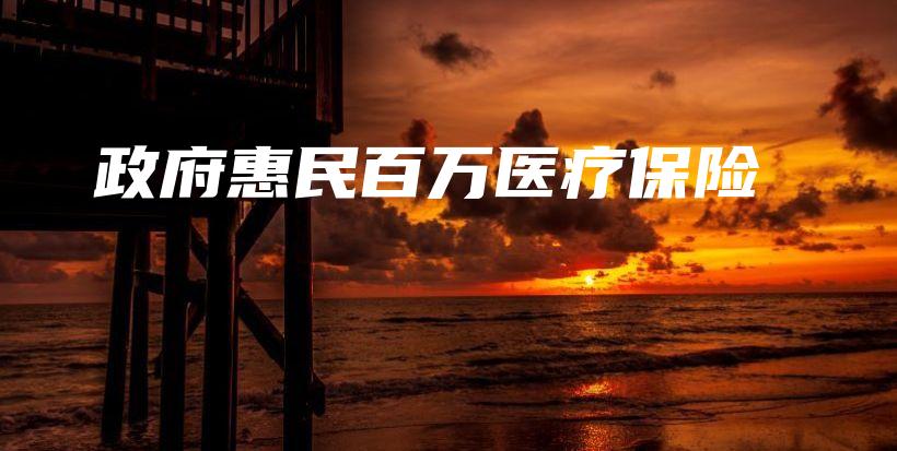 政府惠民百万医疗保险-保点通