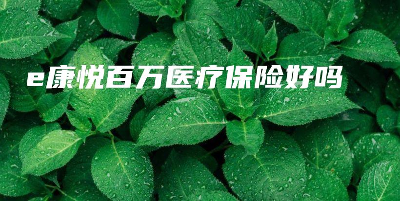 e康悦百万医疗保险好吗-保点通
