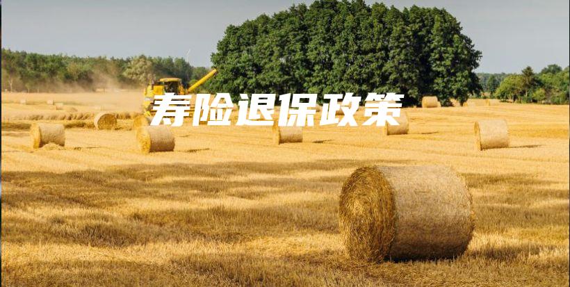 寿险退保政策-保点通