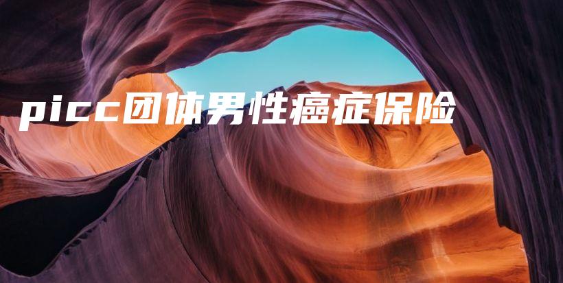 picc团体男性癌症保险-保点通