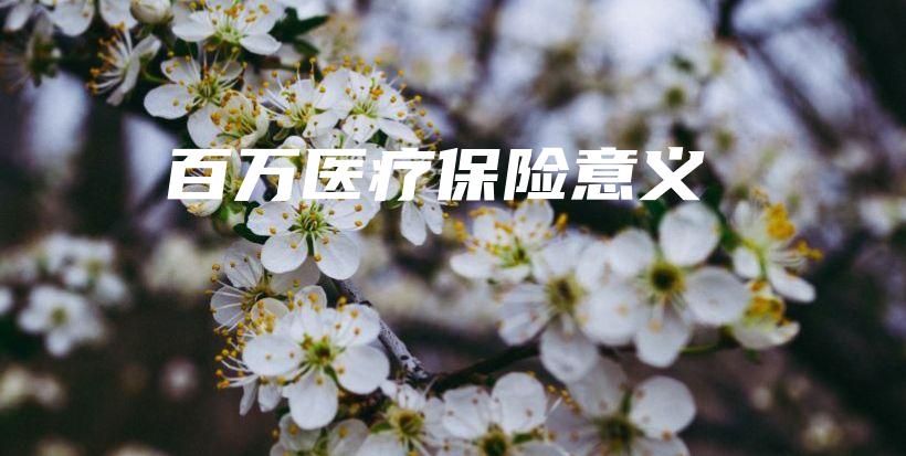 百万医疗保险意义-保点通