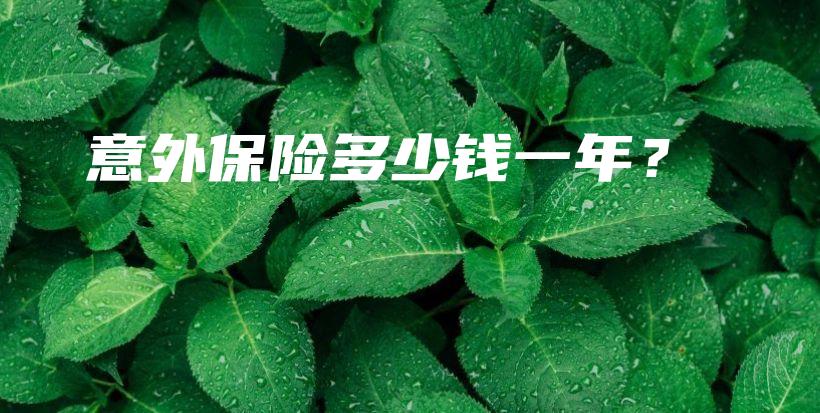 意外保险多少钱一年？-保点通