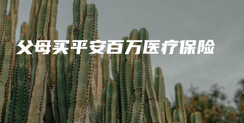 父母买平安百万医疗保险-保点通
