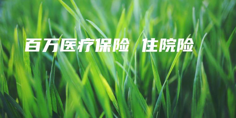 百万医疗保险 住院险-保点通