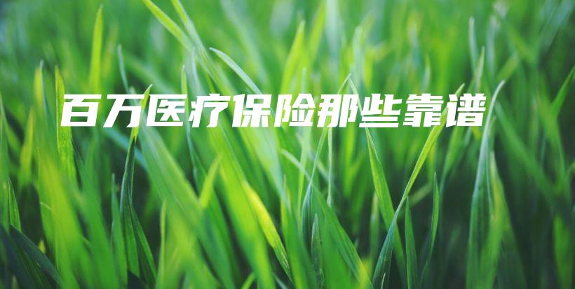 百万医疗保险那些靠谱-保点通