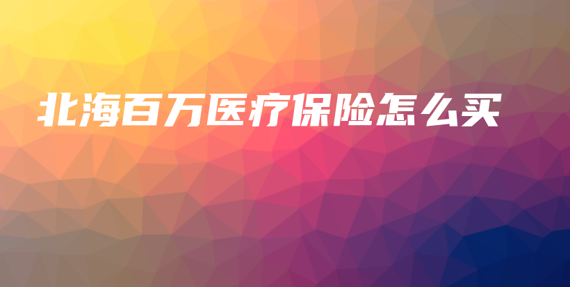 北海百万医疗保险怎么买-保点通