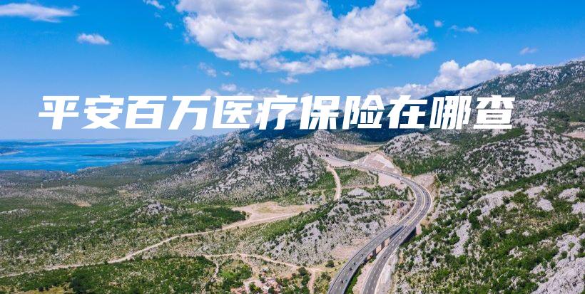 平安百万医疗保险在哪查-保点通
