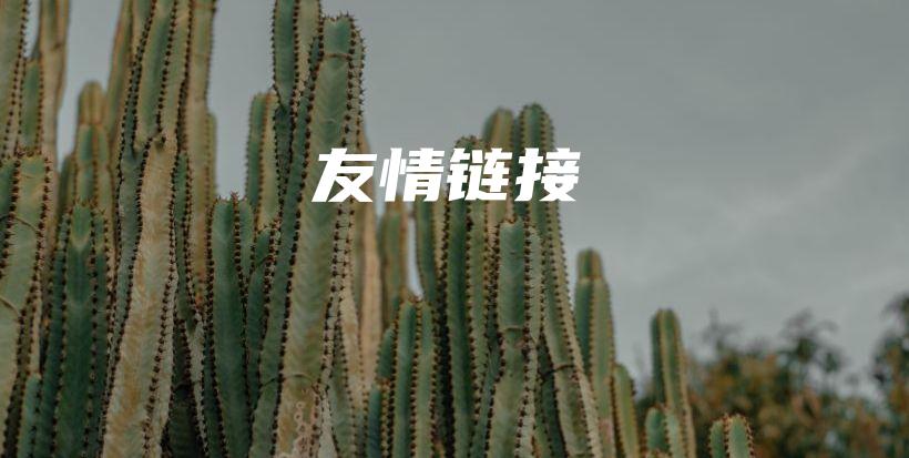 友情链接插图