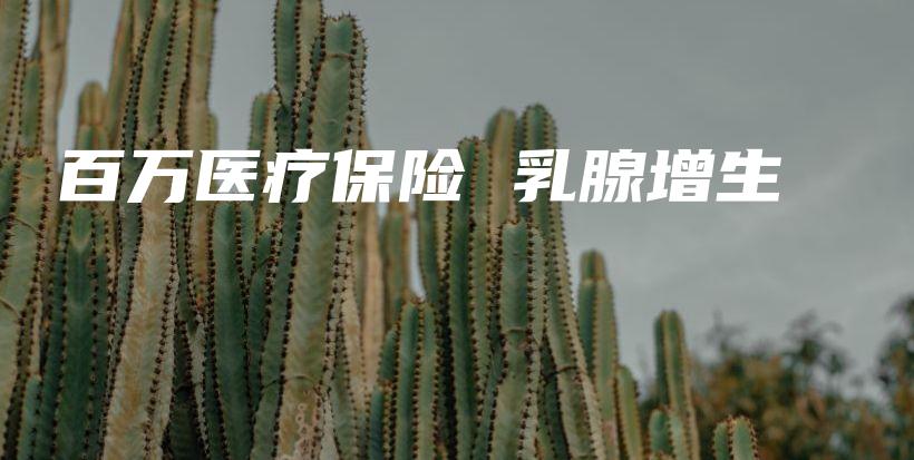 百万医疗保险 乳腺增生-保点通