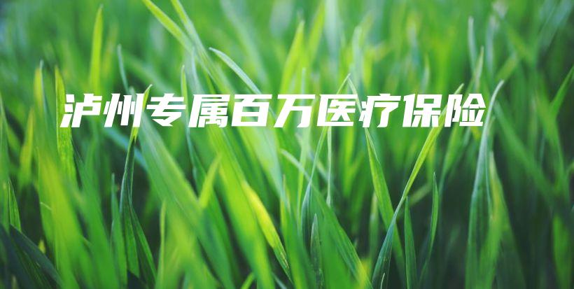 泸州专属百万医疗保险-保点通
