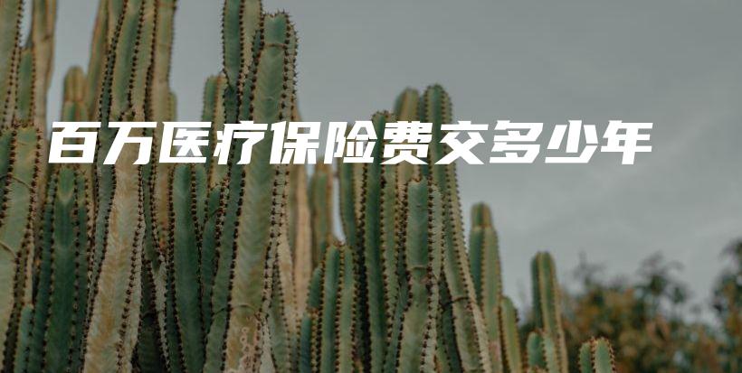 百万医疗保险费交多少年-保点通