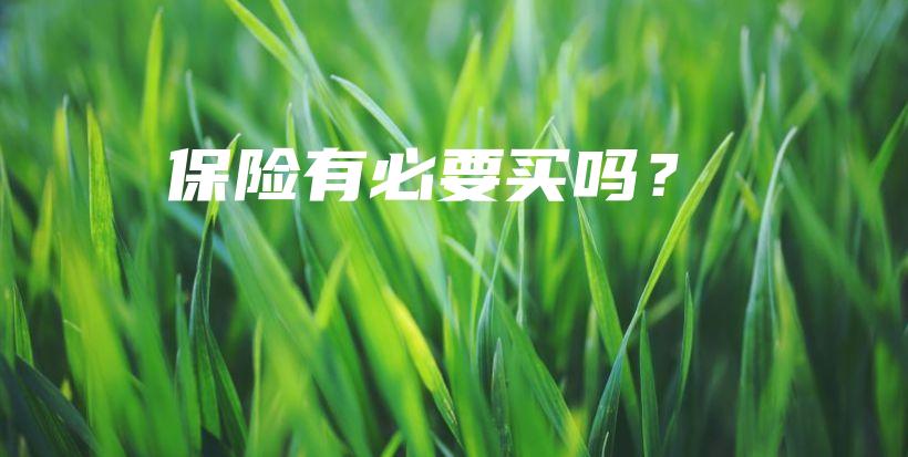 保险有必要买吗？-保点通