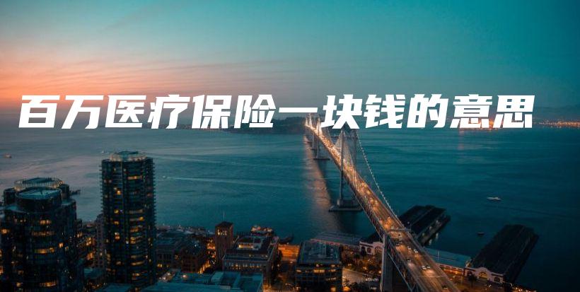 百万医疗保险一块钱的意思-保点通
