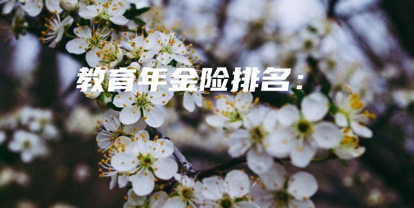 教育年金险排名：-保点通