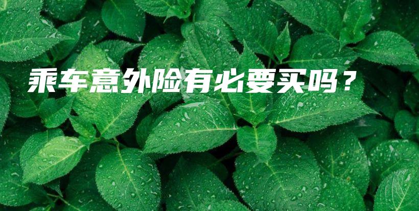 乘车意外险有必要买吗？-保点通