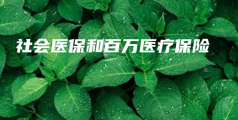 社会医保和百万医疗保险-保点通