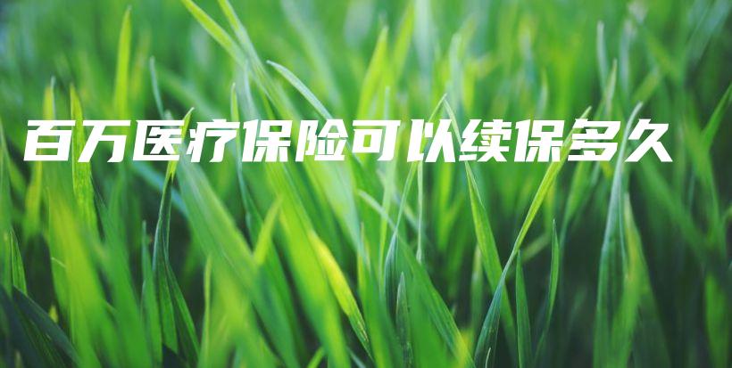 百万医疗保险可以续保多久-保点通