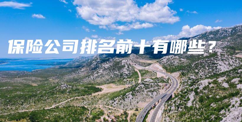 保险公司排名前十有哪些？-保点通